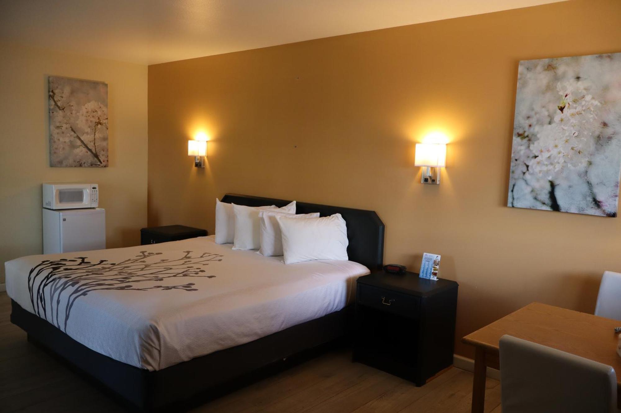 Black Canyon Motel Монтроз Экстерьер фото