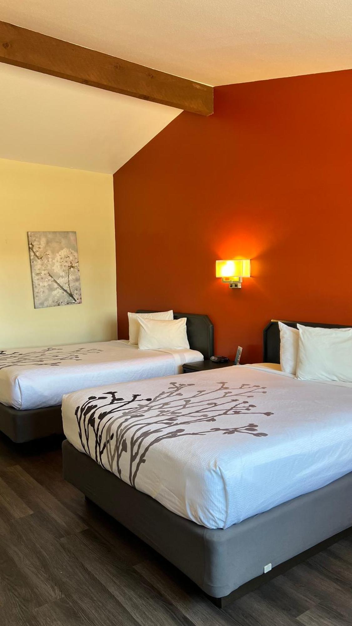 Black Canyon Motel Монтроз Экстерьер фото