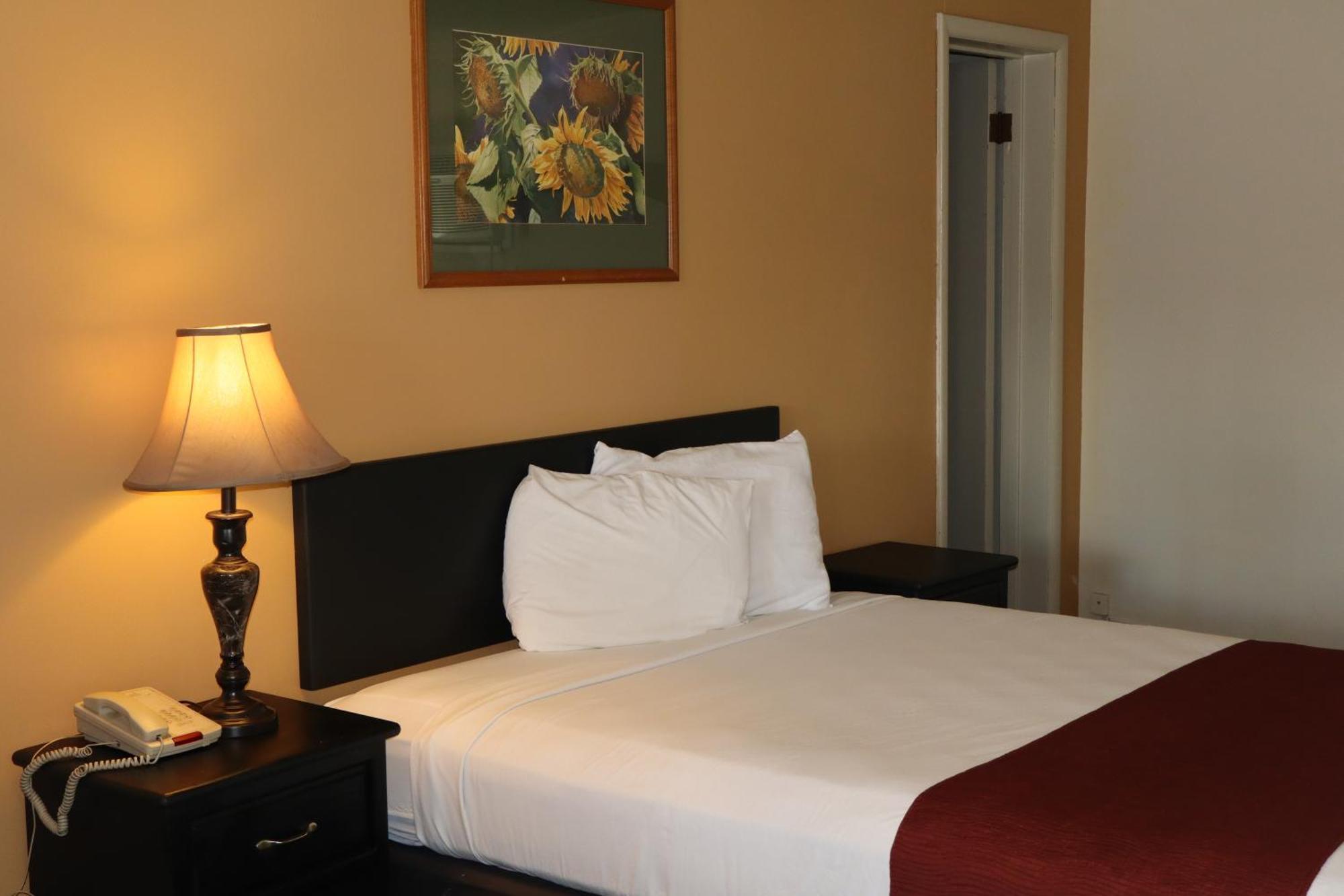 Black Canyon Motel Монтроз Экстерьер фото
