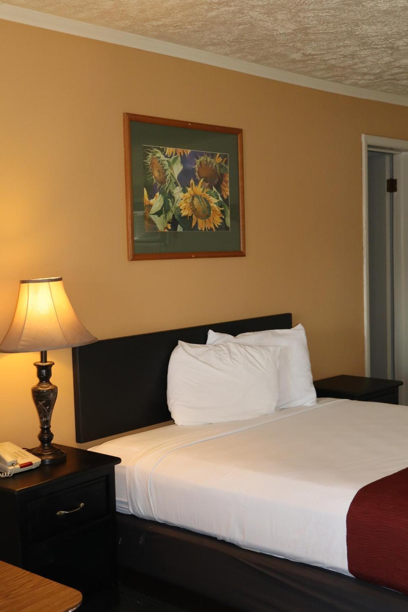 Black Canyon Motel Монтроз Экстерьер фото